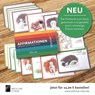 Affirmationen-Kartenset - Kathrin Hohmann - 9783982264387