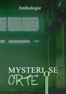 Mysteriöse Orte - Tobias Habenicht ; Daniel Huster ; Julia A. Jorges ; Oliver Borchers - 9783985280506