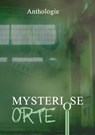 Mysteriöse Orte - Tobias Habenicht ; Daniel Huster ; Julia A. Jorges ; Oliver Borchers ; Ruben Brüstle ; Monika Grasl ; Johannes Harstick ; Oliver Henzler ; Monique Kelbing ; P.C. Thomas ; Detlef Schirrow ; Barbara Kloska ; Inga Kess ; Ilona Grüning - 9783985280513