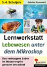 Lernwerkstatt Lebewesen unter dem Mikroskop - Gabriela Rosenwald - 9783985580743