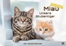 Miau - Unsere Stubentiger - Der Katzenkalender - 2026 - Kalender DIN A2 -  - 9783986735456