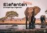 Elefanten - einzigartige Giganten - 2026 - Kalender DIN A2 -  - 9783986735524