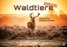 Waldtiere - Heimische Waldbewohner - Der Tierkalender - 2026 - Kalender DIN A2 -  - 9783986736033
