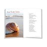 Schneckenhauszeit - Antje Sabine Naegeli - 9783987000294