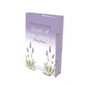 Duett of Love and Loss - Healing Hearts - Ronja Madeleine - 9783987183539