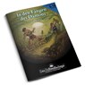 DSA1 - In den Fängen des Dämons (remastered) - Eberhard von Staden - 9783987320354