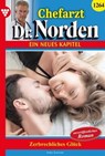 Zerbrechliches Glück - Katie Summer - 9783989369917