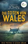 Die Toten von Wales - Katherine John - 9783989529243