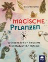 Magische Pflanzen - Doris Weirather - 9783990254851