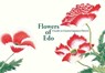 Flowers of Edo - PIE International - 9784756251886