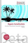 Dypsis Canaliculata - Lambert M. Surhone ; Mariam T. Tennoe ; Susan F. Henssonow - 9786136421124