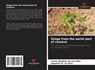 Silage from the aerial part of cassava - Cenira Monteiro de Carvalho ; Jaqueline M. Da Silva - 9786206822264