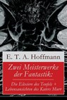 Zwei Meisterwerke der Fantastik - E T a Hoffmann - 9788026854869