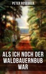 Als ich noch der Waldbauernbub war - Peter Rosegger - 9788027203857