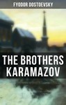 THE BROTHERS KARAMAZOV - Fyodor Dostoevsky ; Cedric Haynes - 9788027233014