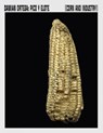 Corn and Industry - DAMIAN ORTEGA - 9788419233707