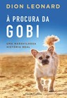 À procura da gobi - Dion Leonard - 9788491392576