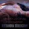 Uitzicht vanaf de hoogwerker - Alexandra Södergran - 9788726097238