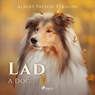 Lad: A Dog - Albert Payson Terhune - 9788726471854