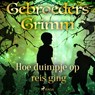 Hoe duimpje op reis ging - De gebroeders Grimm - 9788726853582