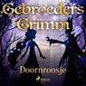 Doornroosje - De gebroeders Grimm - 9788726853636
