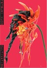 Tetsumi Kudo: Cultivation - Tine Colstrup ; Laerke Rydal Jorgensen - 9788793659315