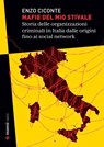 Mafie del mio stivale - Enzo Ciconte - 9788836174331