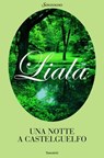 Una notte a Castelguelfo - Liala - 9788845498947