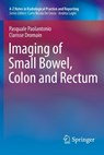 Imaging of Small Bowel, Colon and Rectum - Pasquale Paolantonio ; Clarisse Dromain - 9788847054882