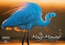 Magic Moment: Extraordinary Photographs of Nature - Anna Levin - 9788854410688