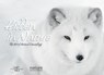 Hidden in Nature: Art of Animal Camouflage - Anna Levin ; Nature Picture Library - 9788854411814