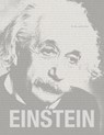 Einstein: The Man and his Mind - Gary Berger ; Michael DiRuggiero ; Hanoch Gutfreund - 9788862087841