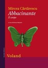 Abbacinante. Il corpo - Mircea Cărtărescu - 9788862432214