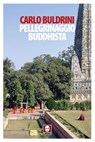 Pellegrinaggio buddhista - Carlo Buldrini - 9788867084920