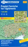 Prealpi Carniche / Val Tagliamento -  - 9788883151378
