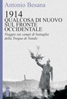 1914. Qualcosa di nuovo sul Fronte occidentale - Antonio Besana - 9788892980211