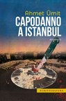 Capodanno a Istanbul - Ahmet Umit - 9788897924227