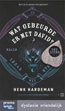 Wat gebeurde er met David? - Henk Hardeman - 9789000383504