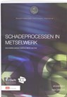 Schadeprocessen in het metselwerk - NALDINI, S. & LUBELLI, B. / Hees, R.P.J. - 9789012126601