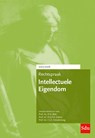 Rechtspraak intellectuele eigendom 2025-2026 - P.H. Blok ; P.G.F.A. Geerts - 9789012410311