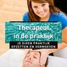 Therapeut in de praktijk - Ria Teeuw - 9789020216974