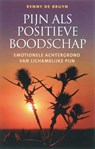 Pijn als positieve boodschap - BRUYN, Renny de - 9789020244144