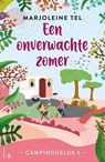 Een onverwachte zomer - Marjoleine Tel - 9789021041025