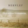 Hersenschimmen - Bernlef - 9789021412689
