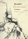 Dwaalwegen - J. Bernlef - 9789021448299