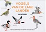 Vogels van de Lage Landen memospel - Identity Games - 9789021583303
