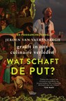 Wat schaft de put? - Jeroen Van Vaerenbergh - 9789022340783