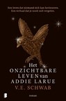 Het onzichtbare leven van Addie LaRue - V.E. Schwab - 9789022593738