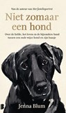 Niet zomaar een hond - Jenna Blum - 9789022595473