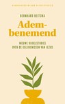 Adembenemend - Bernhard Reitsma - 9789023929277